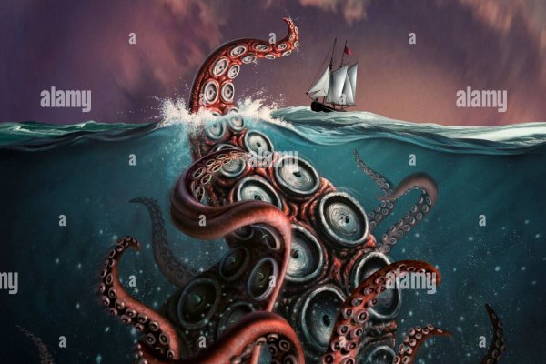 Kraken official