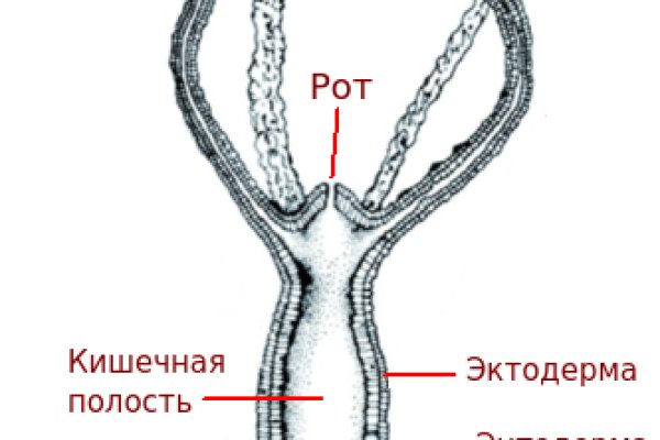 Кракен наркоторговля