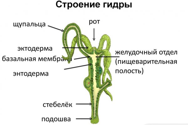 Kraken darknet market ссылка