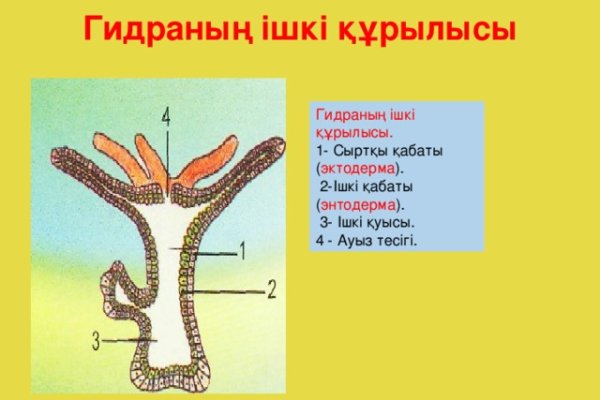 Зайти кракен через тор